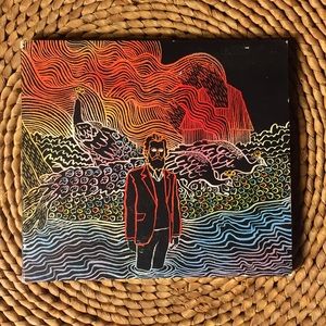 Iron And Wine -“Kiss Each Other Clean”Album CD 💿